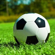 资深球迷赛事分析场景