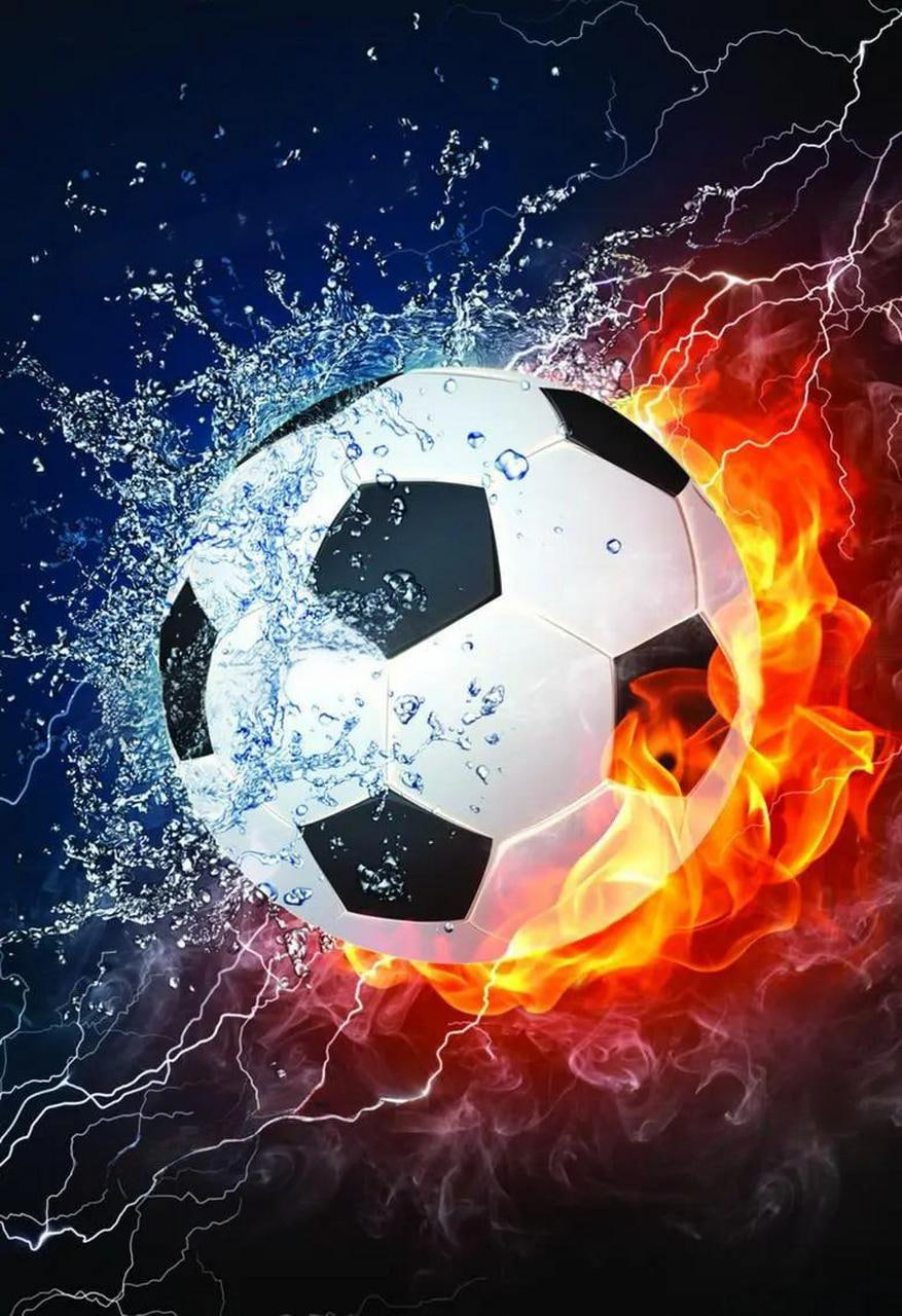 天天盈球老版本应用界面展示